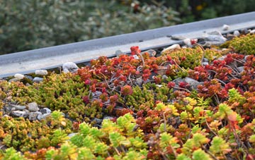 the cost of Okehampton green roof installation